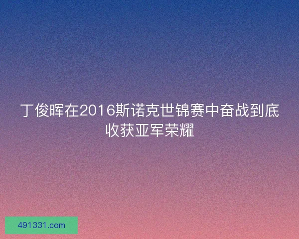 丁俊晖在2016斯诺克世锦赛中奋战到底收获亚军荣耀