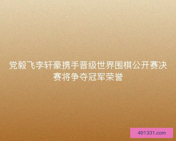 党毅飞李轩豪携手晋级世界围棋公开赛决赛将争夺冠军荣誉